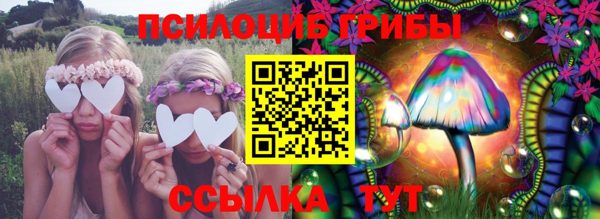 Псилоцибиновые грибы MAGIC MUSHROOMS  Вход с VPN  Джанкой 