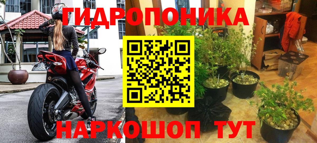 Бошки марихуана AK-47 Джанкой
